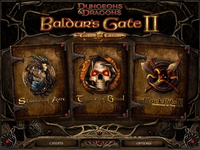 Baldur’s Gate II: Enhanced Edition 3