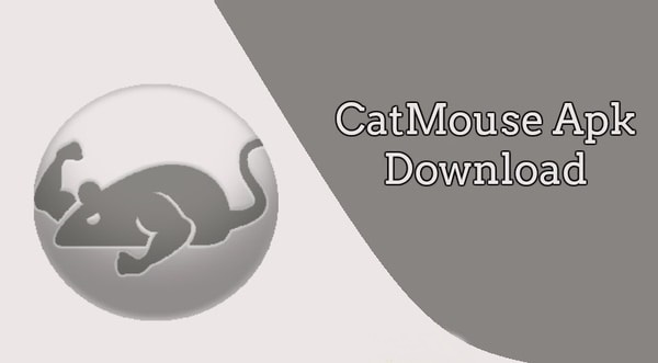 CatMouse 1